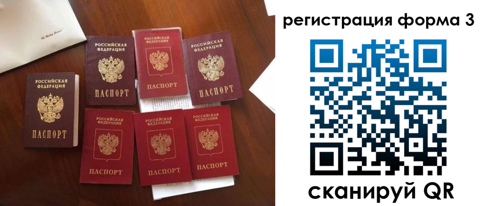 прописка 2025 в Жукове